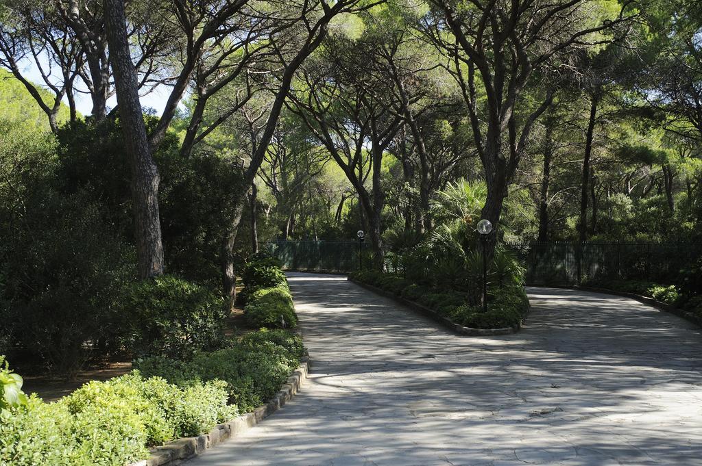 Hotel Roccamare - Casa Di Ponente 4*